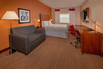 Classic Room, 1 King Bed with Sofa bed, Roll-in Shower (Mobility Accessible, Roll-In Shower)