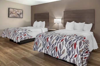 Deluxe Room, 2 Double Beds, Non Smoking