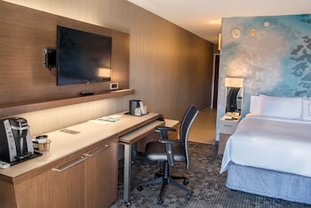 Room, 1 King Bed