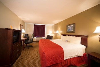 Basic Room