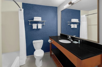 Suite, 1 King Bed with Sofa bed