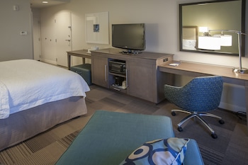 Room, 1 King Bed