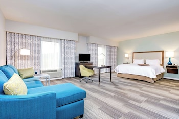 Studio, 1 King Bed, Non Smoking (Shower Only)