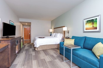 Room, 1 King Bed with Sofa bed, Non Smoking, Refrigerator & Microwave