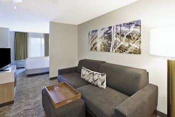 Suite, 1 King Bed with Sofa bed, Non Smoking (Mobility Accessible, Roll-In Shower)