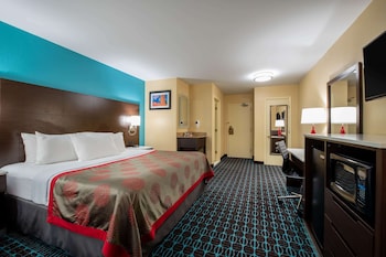Suite, 1 King Bed