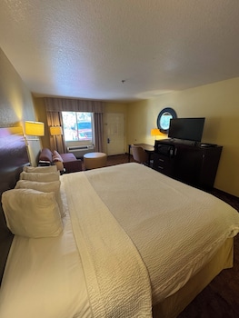 Room, 1 King Bed, Non Smoking