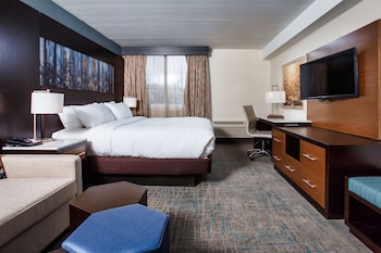 Room, 1 King Bed, Accessible (Hearing)