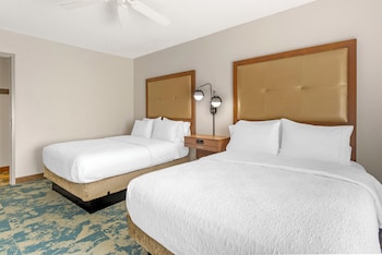 Suite, 1 King Bed with Sofa bed, Kitchen