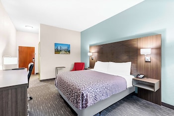 Standard Room, 1 King Bed, Accessible, Non Smoking