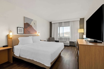 Room, 1 King Bed, Accessible (Roll-In Shower)