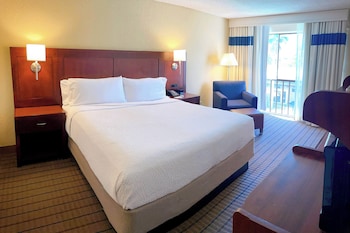 Room, 1 King Bed (Mobility/Hearing Access, Roll-in Shwr)