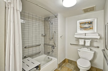 Suite, 1 King Bed with Sofa bed, Accessible, Bathtub (Mobility & Hearing, NonSmoking)