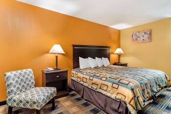 Room, 1 King Bed, Accessible, Non Smoking