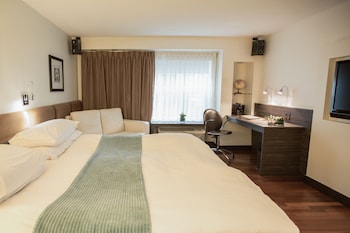 Terzo Room, 1 King Bed
