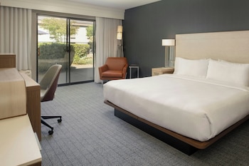 Room, 1 King Bed with Sofa bed
