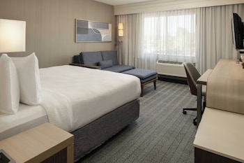 Room, 1 King Bed with Sofa bed