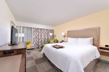 Room, 1 King Bed, Accessible, Non Smoking