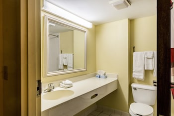 Superior Room, 1 King Bed, Non Smoking