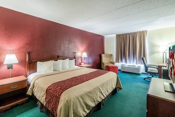 Superior Room, 1 King Bed, Non Smoking