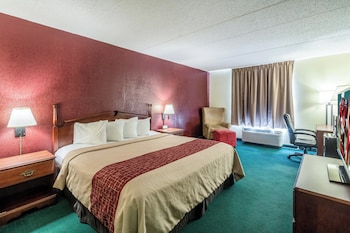 Superior Room, 1 King Bed, Non Smoking