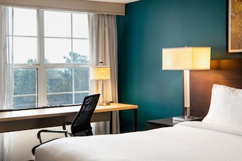 Studio, 1 Queen Bed with Sofa bed
