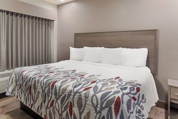 Superior Room, 1 King Bed, Non Smoking