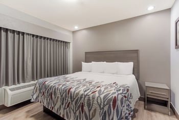 Superior Room, 1 King Bed, Non Smoking