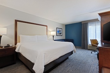 Suite, 1 King Bed, River View (Additional Living Area)