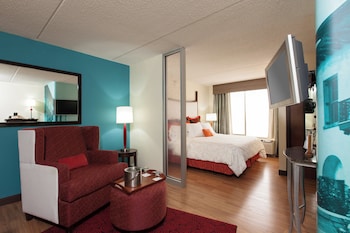Standard Room, 1 King Bed