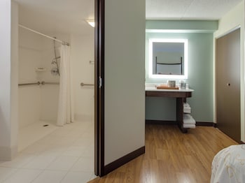 Standard Room, 1 Double Bed, Accessible (Roll-In Shower)