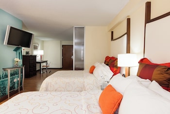 Standard Room, 2 Double Beds (Walk-In Shower)