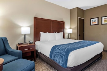 Standard Room, 1 King Bed, Non Smoking