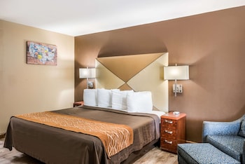 Standard Room, 1 King Bed, Non Smoking