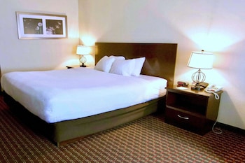Room, 1 Queen Bed, Accessible