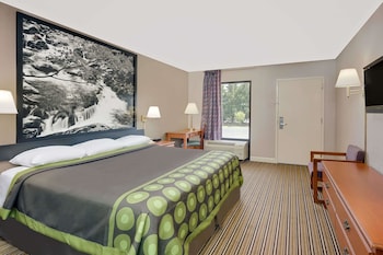 Room, 1 King Bed, Accessible, Non Smoking