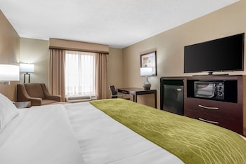 Standard Room, 1 King Bed, Non Smoking