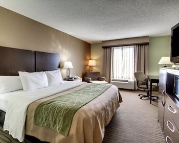 Standard Room, 1 King Bed, Non Smoking
