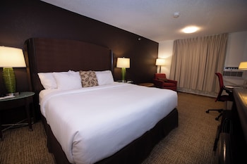Room, 1 King Bed, Non Smoking