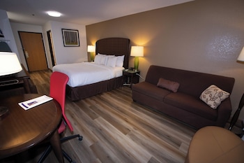 Room, 1 King Bed, Mobility Accessible, Non Smoking (Mobility, Roll-in Shower)