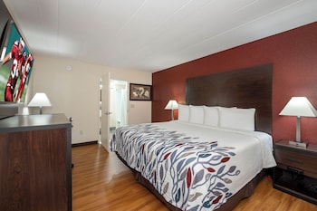 Superior Room, 1 King Bed, Accessible (Roll-In Shower, Smoke Free)