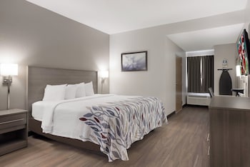 Superior Room, 1 King Bed, Accessible, Non Smoking (Roll-In Shower)