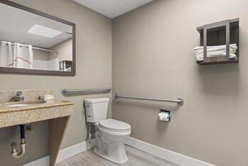 Deluxe Room, 1 King Bed, Accessible, Non Smoking (Roll-In Shower)