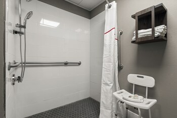 Deluxe Room, 1 King Bed, Accessible, Non Smoking (Roll-In Shower)