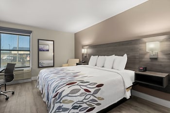 Deluxe Room, 1 King Bed, Accessible, Non Smoking (Roll-In Shower)