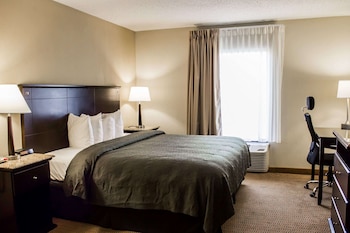 Room, 1 King Bed with Sofa bed, Non Smoking