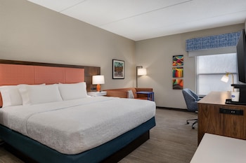 Room, 1 King Bed