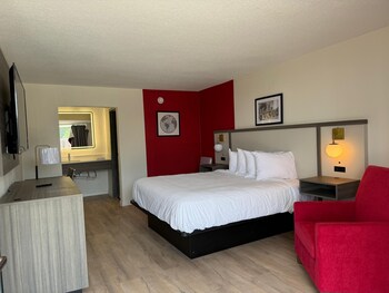 Room, 1 King Bed, Non Smoking