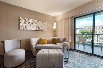 Room, 1 King Bed with Sofa bed (Mobility/Hearing Access, Transf Shwr)