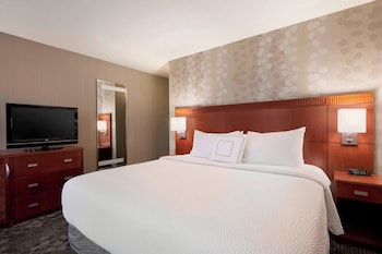 Room, 1 King Bed with Sofa bed (Mobility/Hearing Access, Transf Shwr)